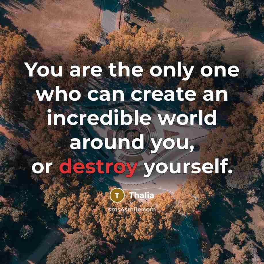 “You are the only one who can create an incredible world around you, or destroy yourself.” quote by Thalia
