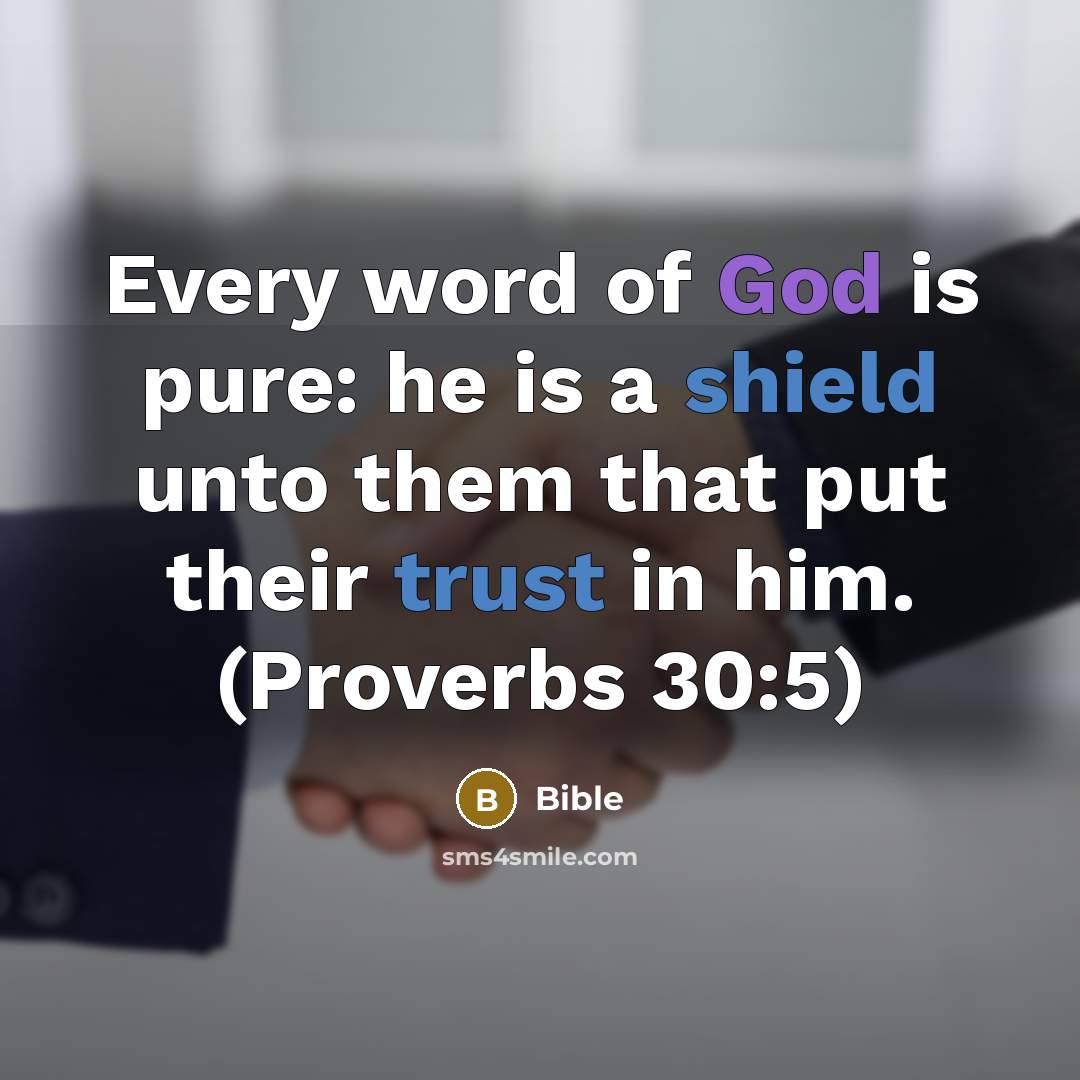 “Every word of God is pure: he is a shield unto them that put their trust in him. (Proverbs 30:5)” quote by Bible
