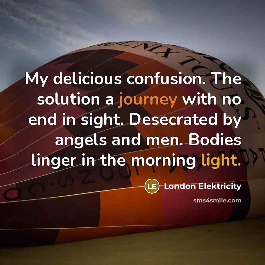 “My delicious confusion. The solution a journey with no end in sight. Desecrated by angels and men. Bodies linger in the morning light.” quote by London Elektricity