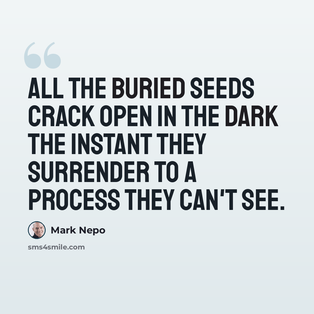 “All the buried seeds crack open in the dark the instant they surrender to a process they can't see.” quote by Mark Nepo