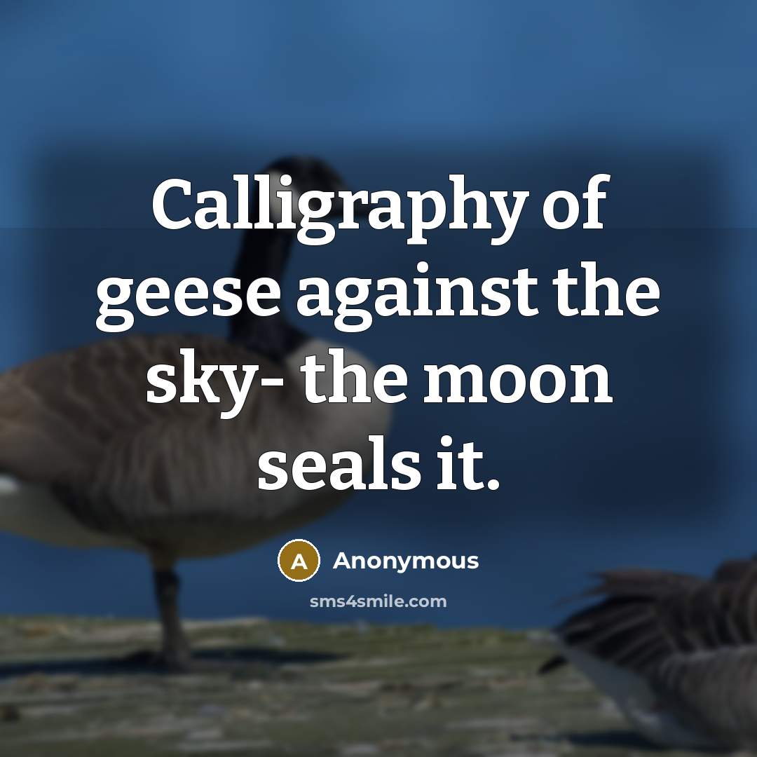 “Calligraphy of geese against the sky- the moon seals it.” quote by Anonymous