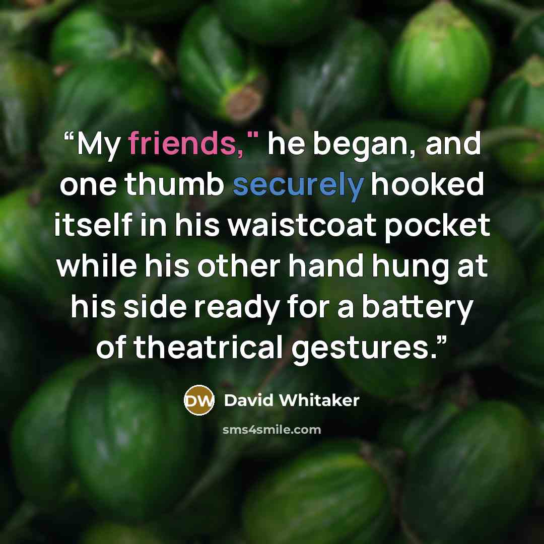 “My friends," he began, and one thumb securely hooked itself in his waistcoat pocket while his other hand hung at his side ready for a battery of theatrical gestures.” quote by David Whitaker