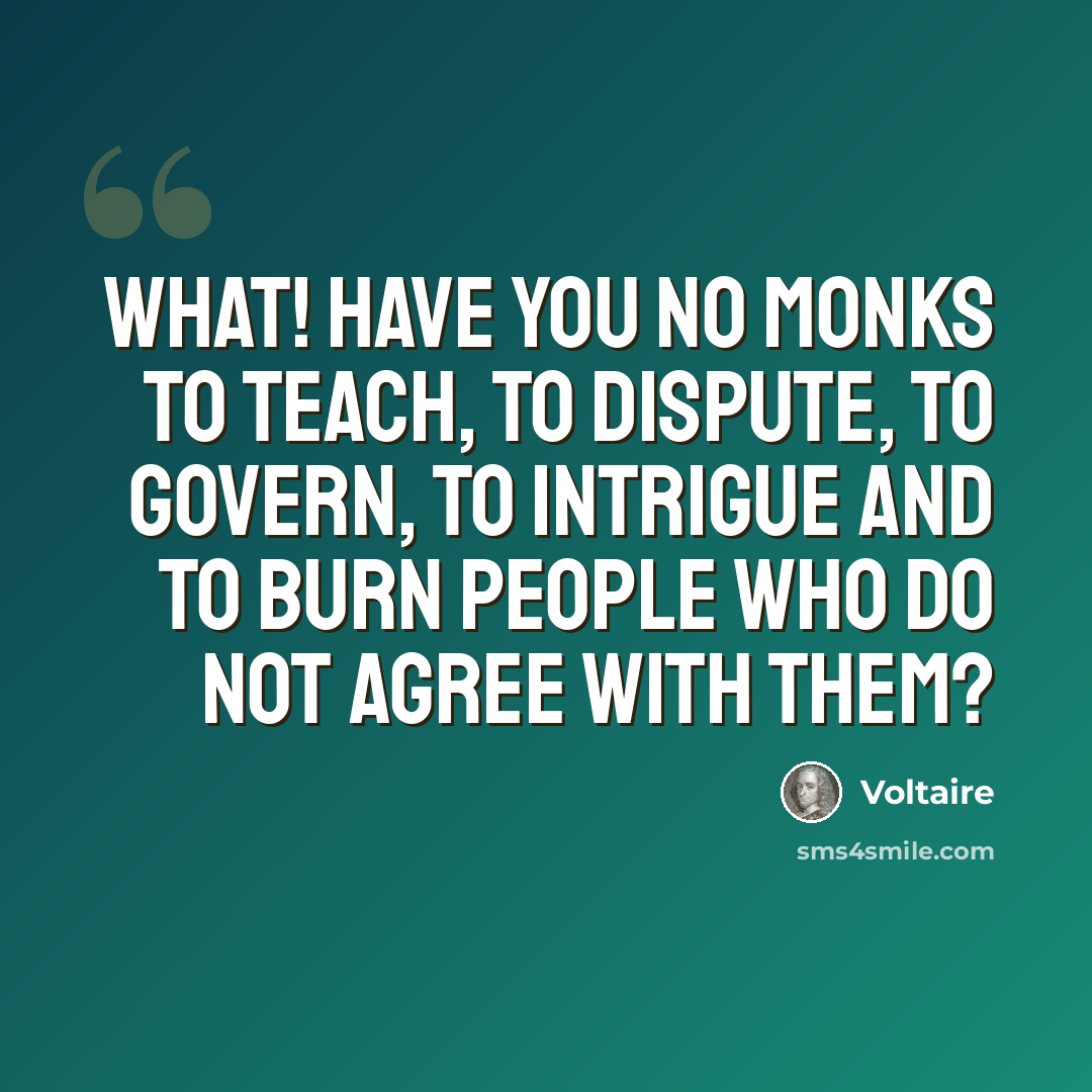 “What! Have you no monks to teach, to dispute, to govern, to intrigue and to burn people who do not agree with them?” quote by Voltaire