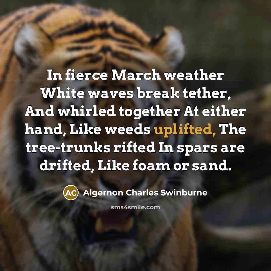 “In fierce March weather White waves break tether, And whirled together At either hand, Like weeds uplifted, The tree-trunks rifted In spars are drifted, Like foam or sand.” quote by Algernon Charles Swinburne