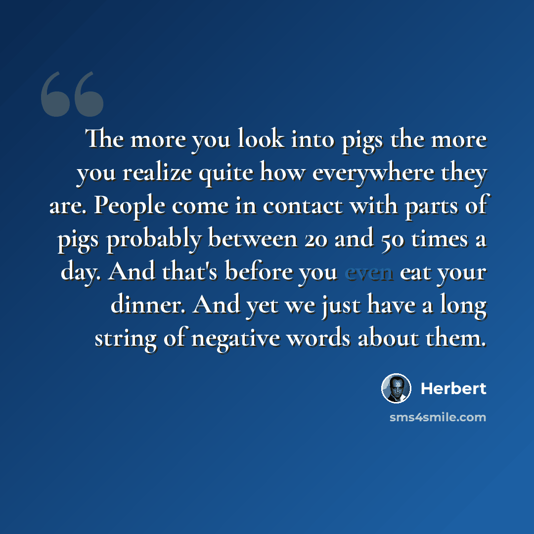 “The more you look into pigs the more you realize quite how everywhere they are. People come in contact with parts of pigs probably between 20 and 50 times a day. And that's before you even eat your dinner. And yet we just have a long string of negative words about them.” quote by Herbert