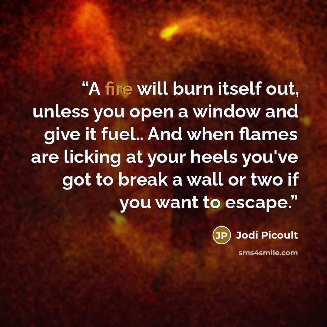 “A fire will burn itself out, unless you open a window and give it fuel.. And when flames are licking at your heels you've got to break a wall or two if you want to escape.” quote by Jodi Picoult