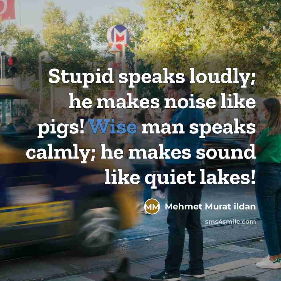 “Stupid speaks loudly; he makes noise like pigs! Wise man speaks calmly; he makes sound like quiet lakes!” quote by Mehmet Murat Ildan