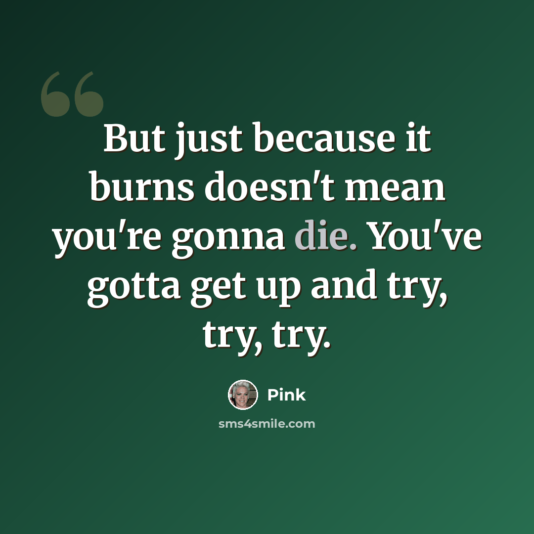 “But just because it burns doesn't mean you're gonna die. You've gotta get up and try, try, try.” quote by Pink