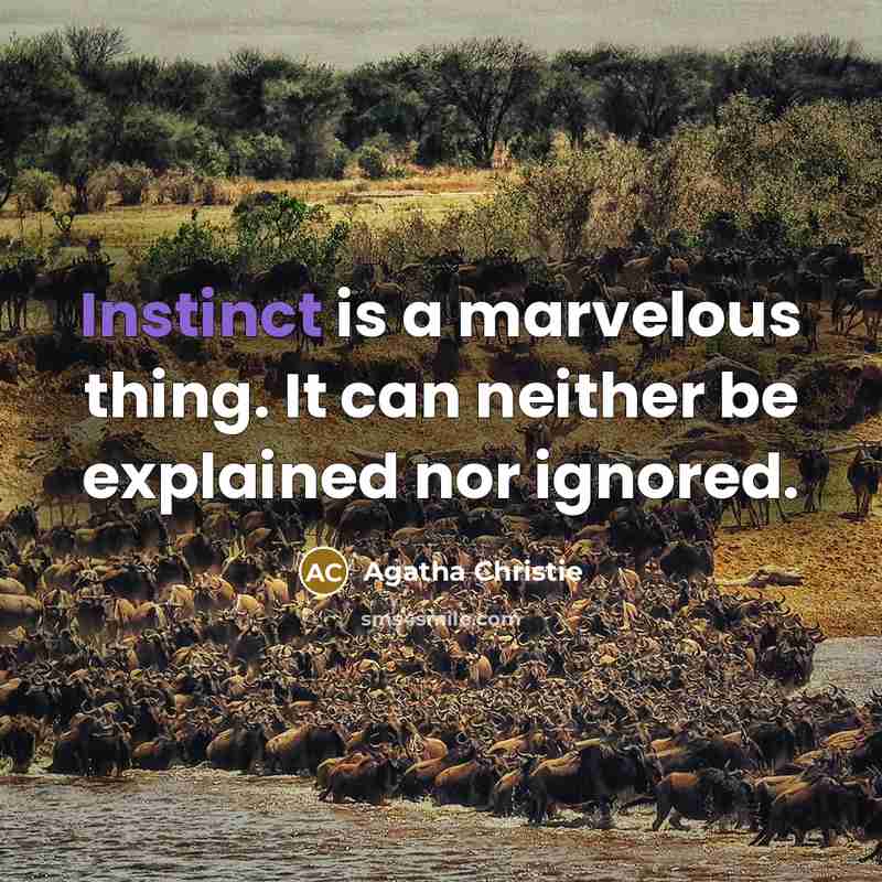 “Instinct is a marvelous thing. It can neither be explained nor ignored.” quote by Agatha Christie