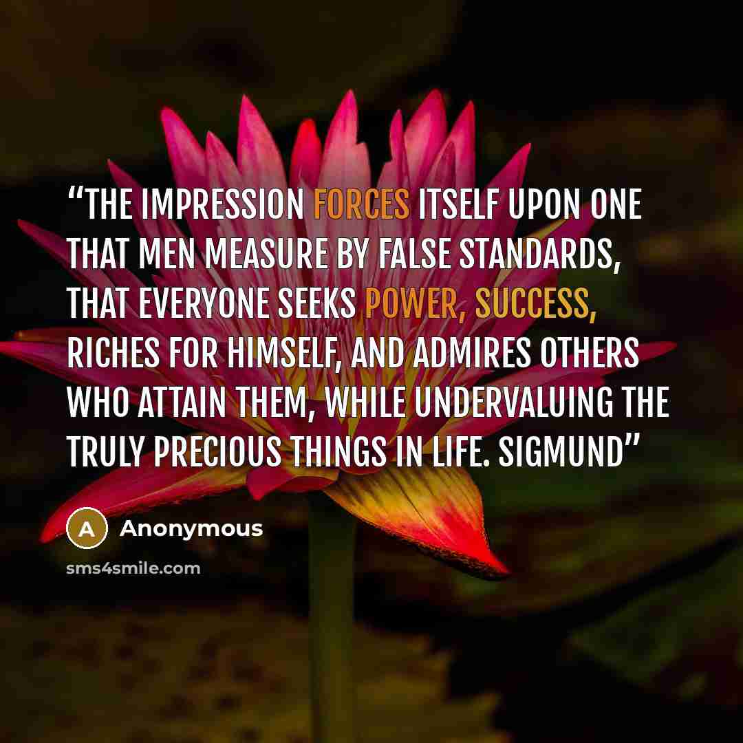 “The impression forces itself upon one that men measure by false standards, that everyone seeks power, success, riches for himself, and admires others who attain them, while undervaluing the truly precious things in life. Sigmund” quote by Anonymous