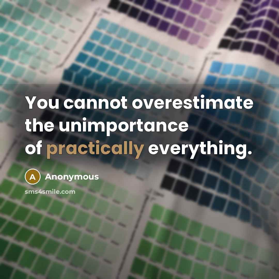 “You cannot overestimate the unimportance of practically everything.” quote by Anonymous