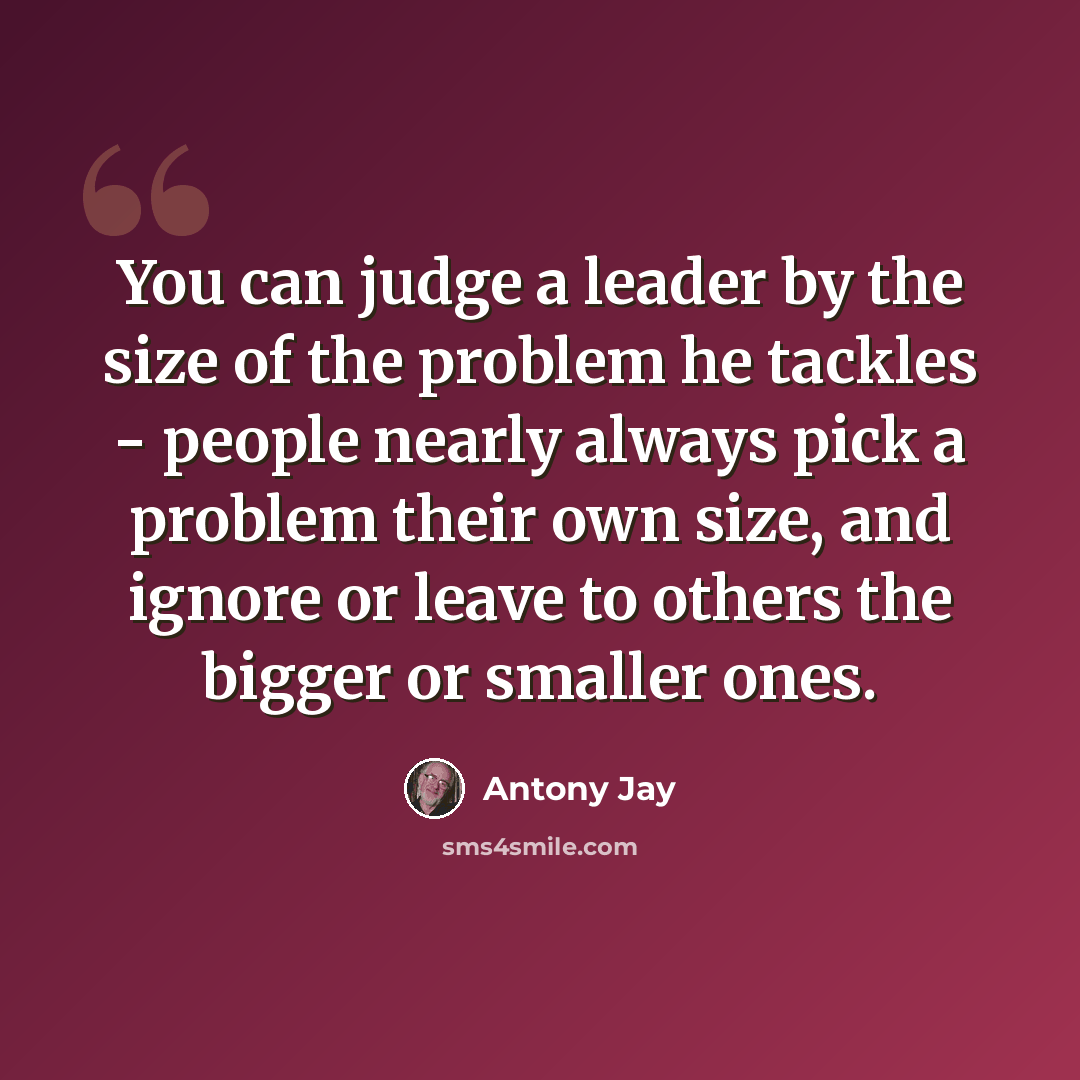 “You can judge a leader by the size of the problem he tackles - people nearly always pick a problem their own size, and ignore or leave to others the bigger or smaller ones.” quote by Antony Jay