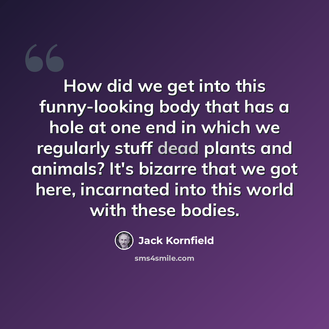 “How did we get into this funny-looking body that has a hole at one end in which we regularly stuff dead plants and animals? It's bizarre that we got here, incarnated into this world with these bodies.” quote by Jack Kornfield