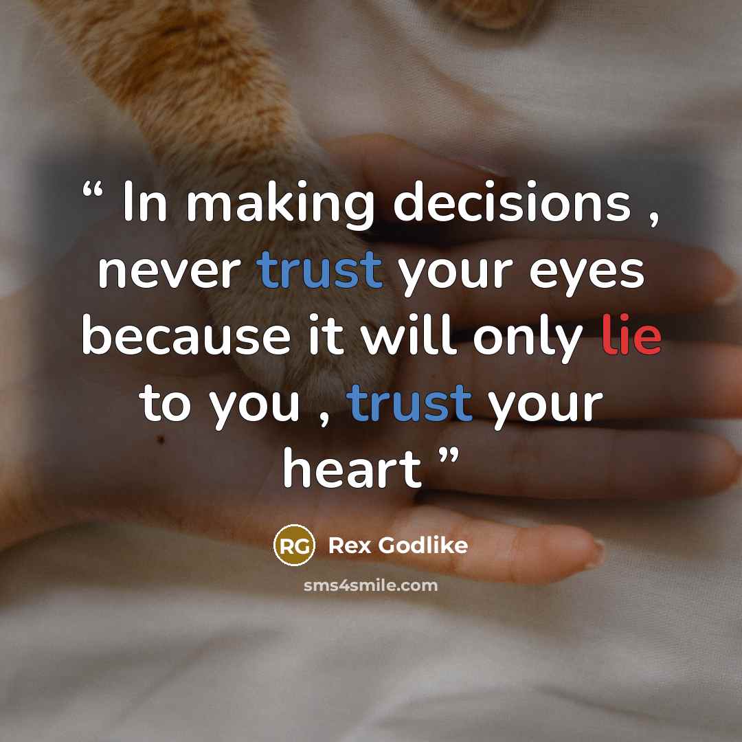 “In making decisions , never trust your eyes because it will only lie to you , trust your heart” quote by Rex Godlike