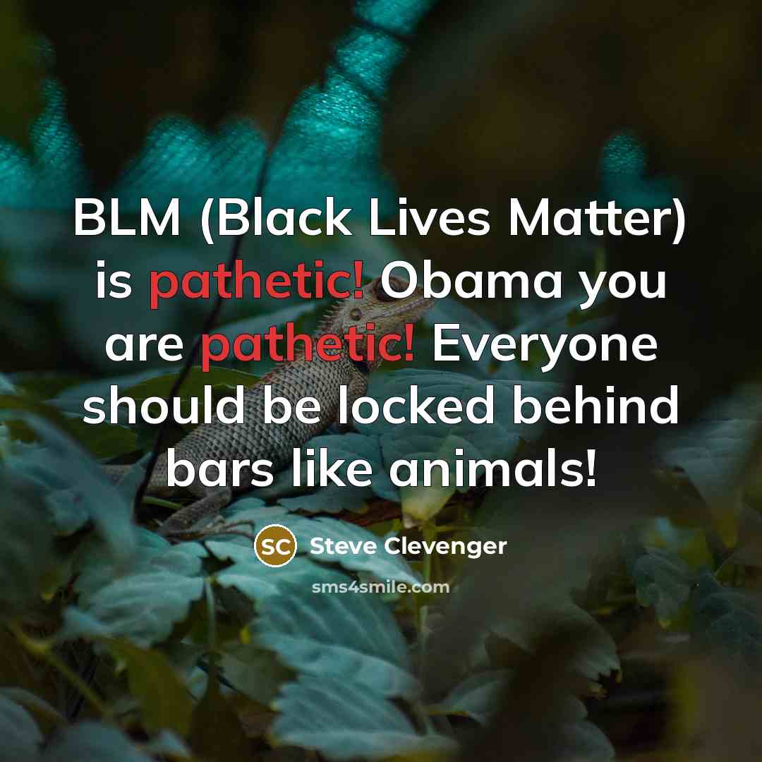 “BLM (Black Lives Matter) is pathetic! Obama you are pathetic! Everyone should be locked behind bars like animals!” quote by Steve Clevenger