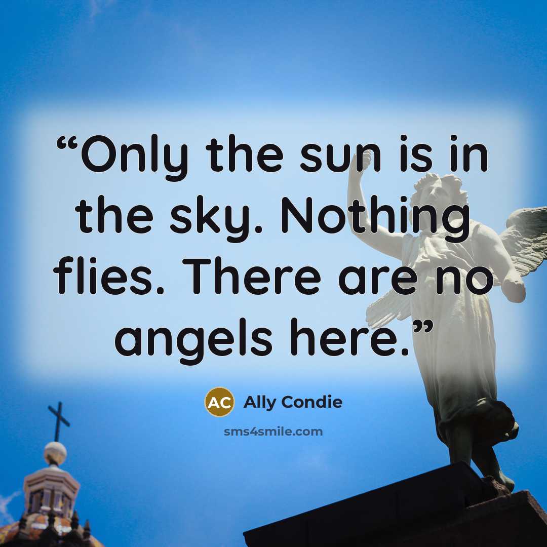 “Only the sun is in the sky. Nothing flies. There are no angels here.” quote by Ally Condie