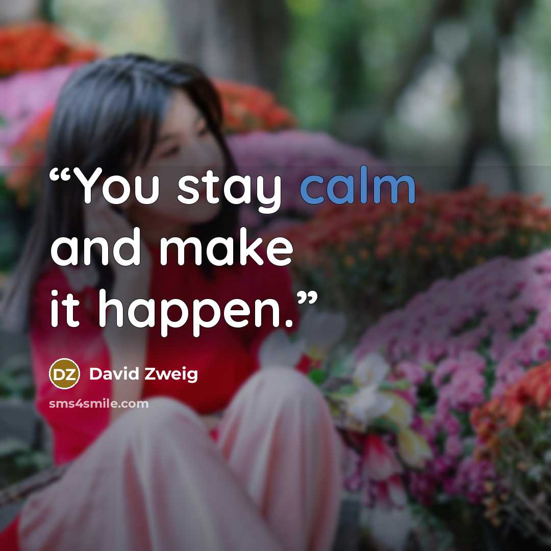 “You stay calm and make it happen.” quote by David Zweig