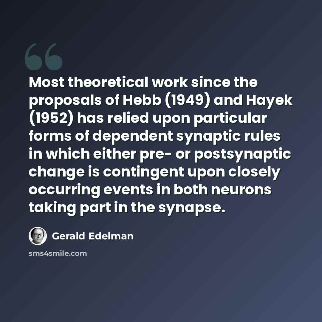 “Most theoretical work since the proposals of Hebb (1949) and Hayek (1952) has relied upon particular forms of dependent synaptic rules in which either pre- or postsynaptic change is contingent upon closely occurring events in both neurons taking part in the synapse.” quote by Gerald Edelman