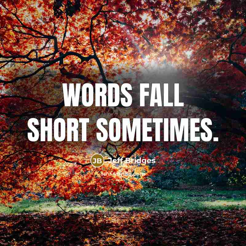 “Words fall short sometimes.” quote by Jeff Bridges
