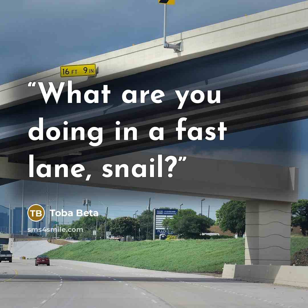 “What are you doing in a fast lane, snail?” quote by Toba Beta