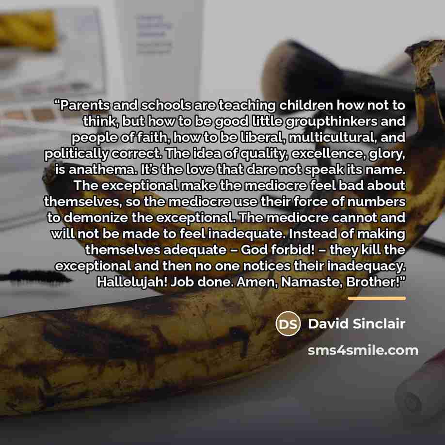 “Parents and schools are teaching children how not to think, but how to be good little groupthinkers and people of faith, how to be liberal, multicultural, and politically correct. The idea of quality, excellence, glory, is anathema. It’s the love that dare not speak its name. The exceptional make…” quote by David Sinclair