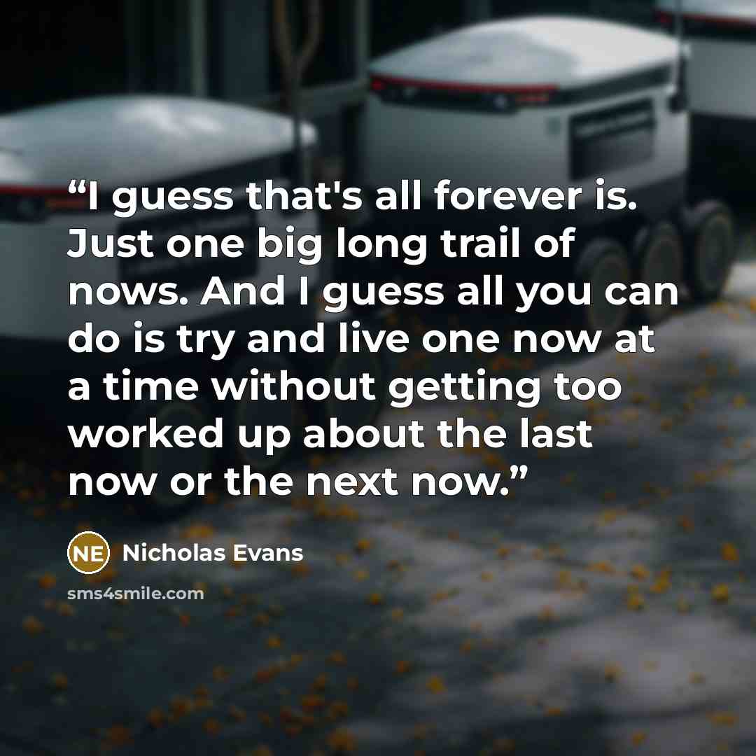 “I guess that's all forever is. Just one big long trail of nows. And I guess all you can do is try and live one now at a time without getting too worked up about the last now or the next now.” quote by Nicholas Evans
