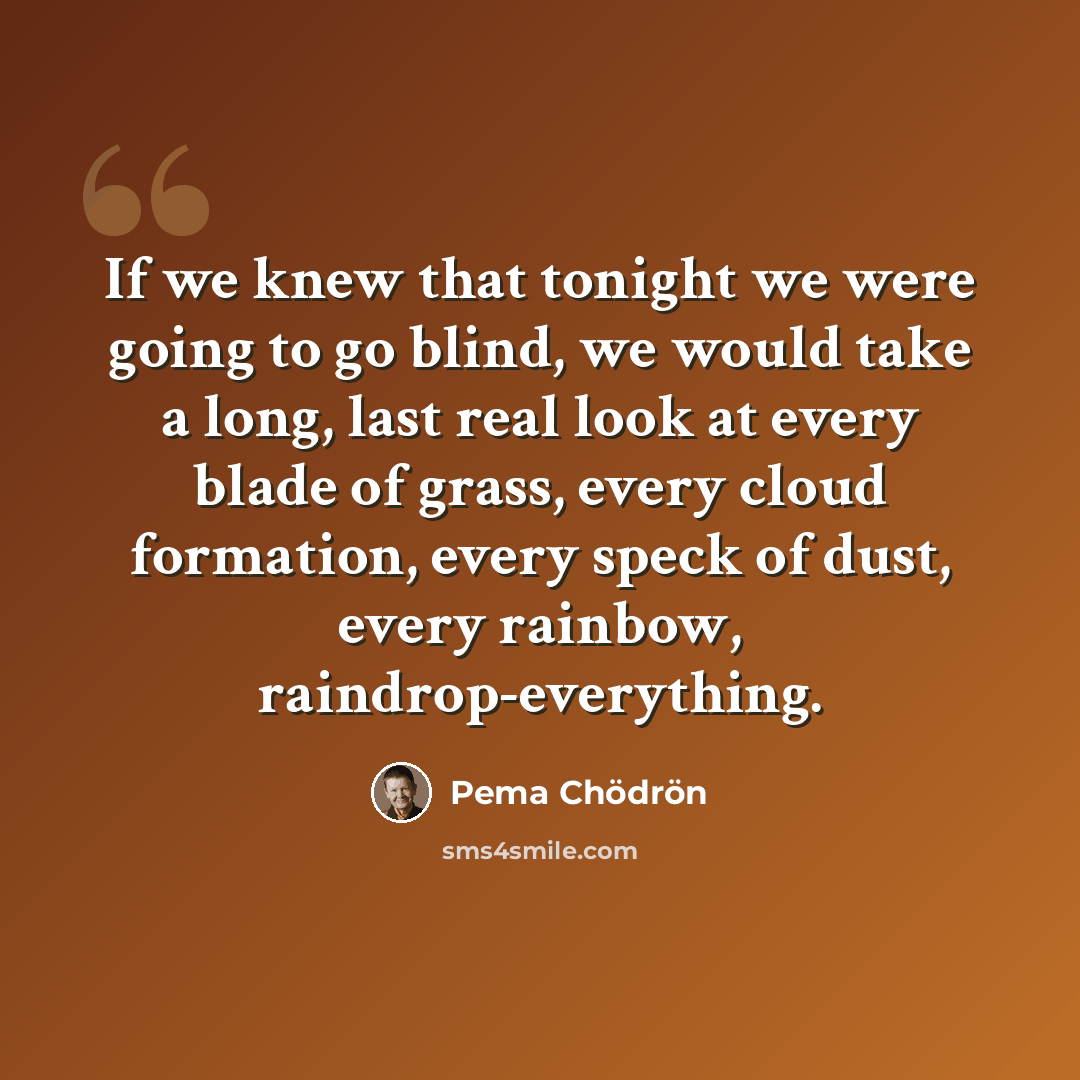 “If we knew that tonight we were going to go blind, we would take a long, last real look at every blade of grass, every cloud formation, every speck of dust, every rainbow, raindrop-everything.” quote by Pema Chodron