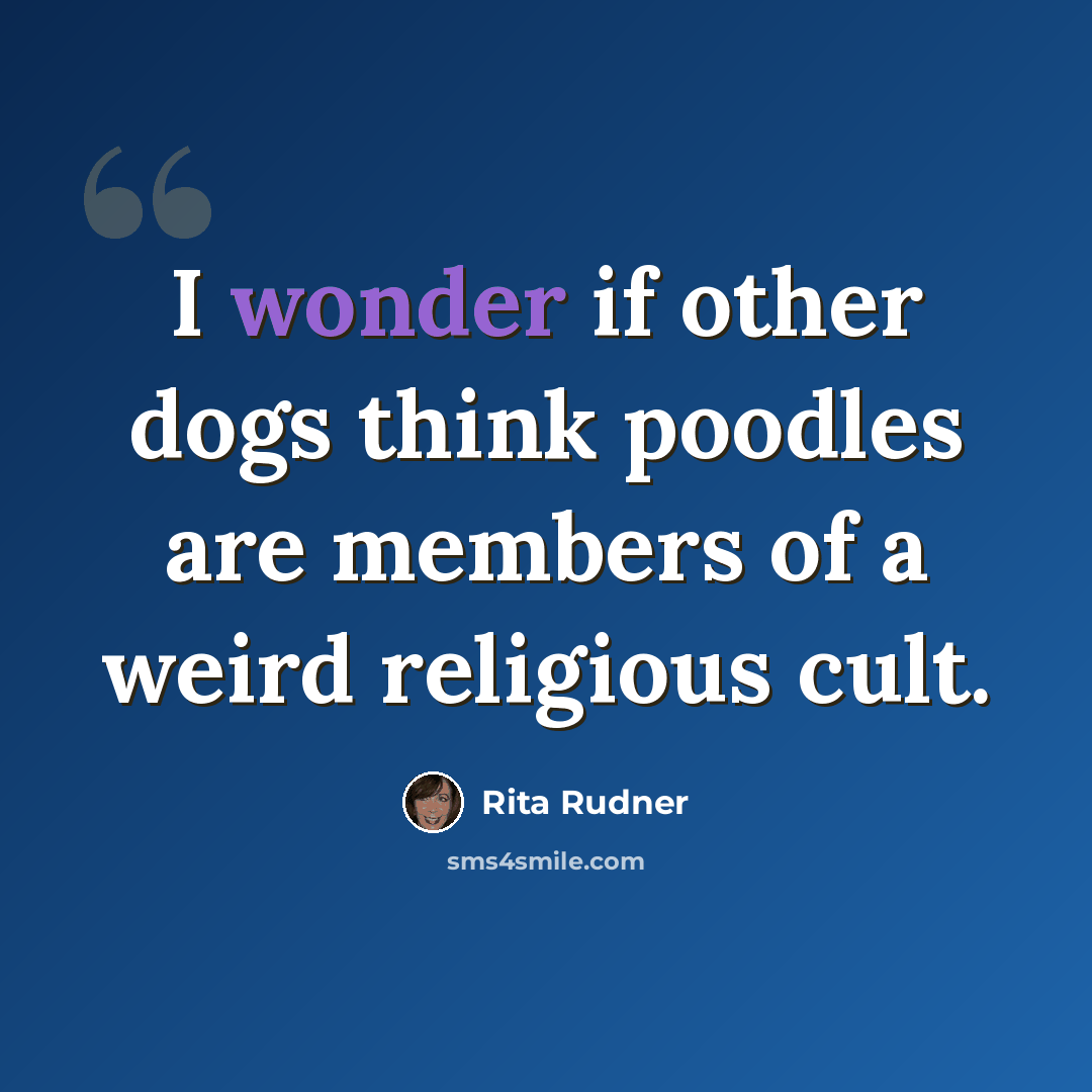 “I wonder if other dogs think poodles are members of a weird religious cult.” quote by Rita Rudner