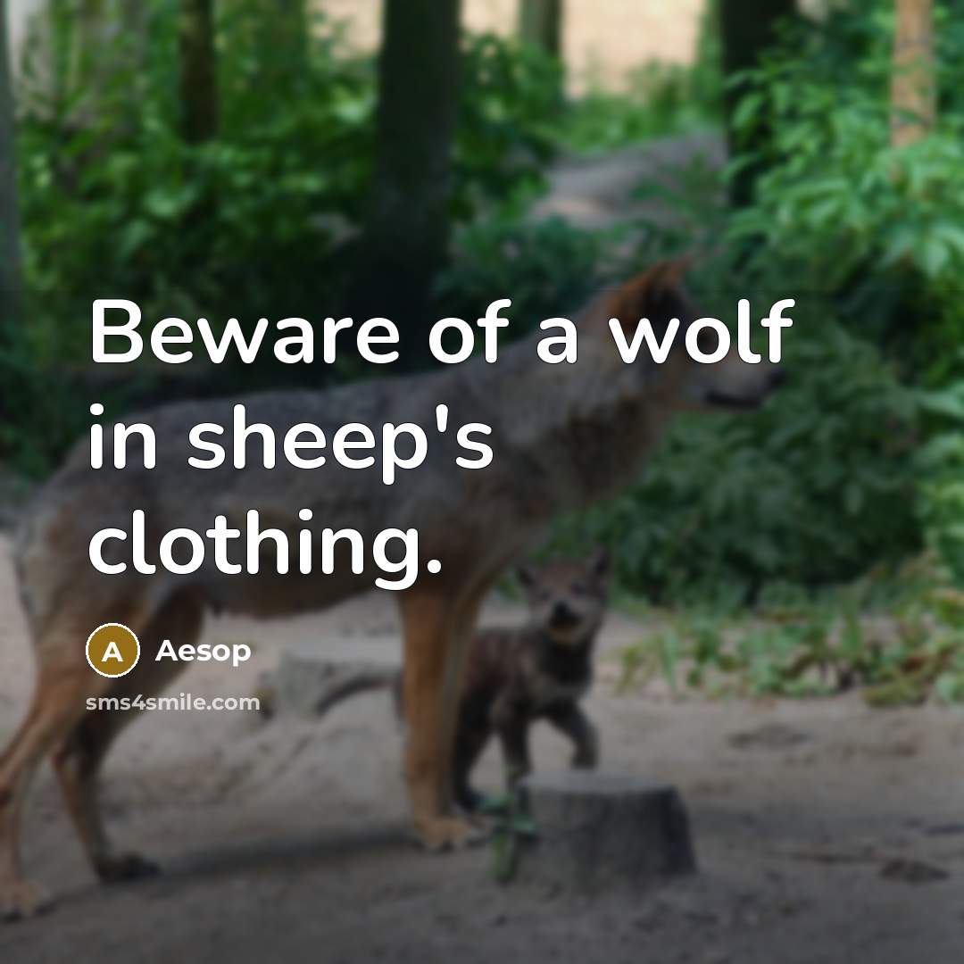 “Beware of a wolf in sheep's clothing.” quote by Aesop