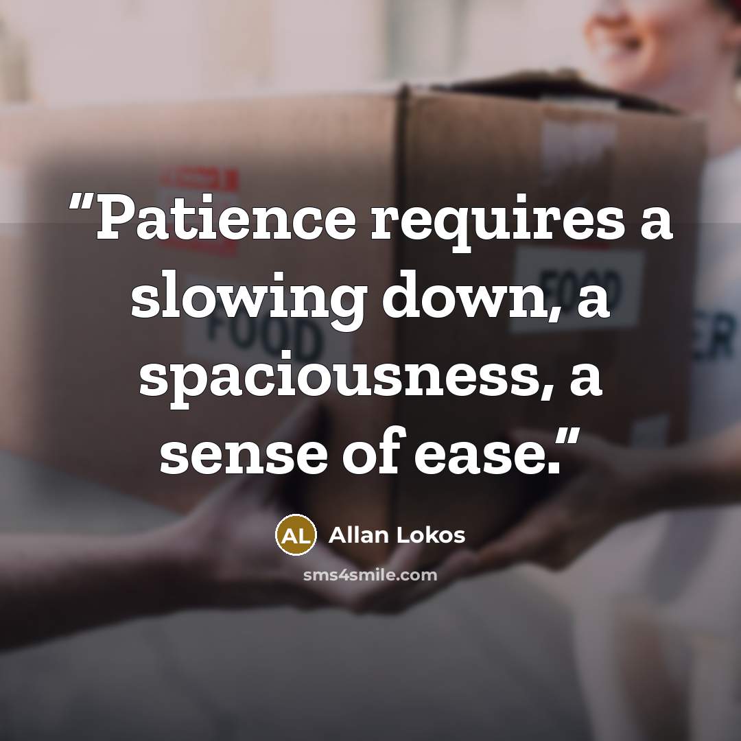 “Patience requires a slowing down, a spaciousness, a sense of ease.” quote by Allan Lokos