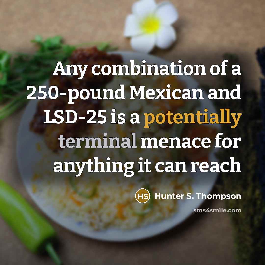 “Any combination of a 250-pound Mexican and LSD-25 is a potentially terminal menace for anything it can reach” quote by Hunter S. Thompson