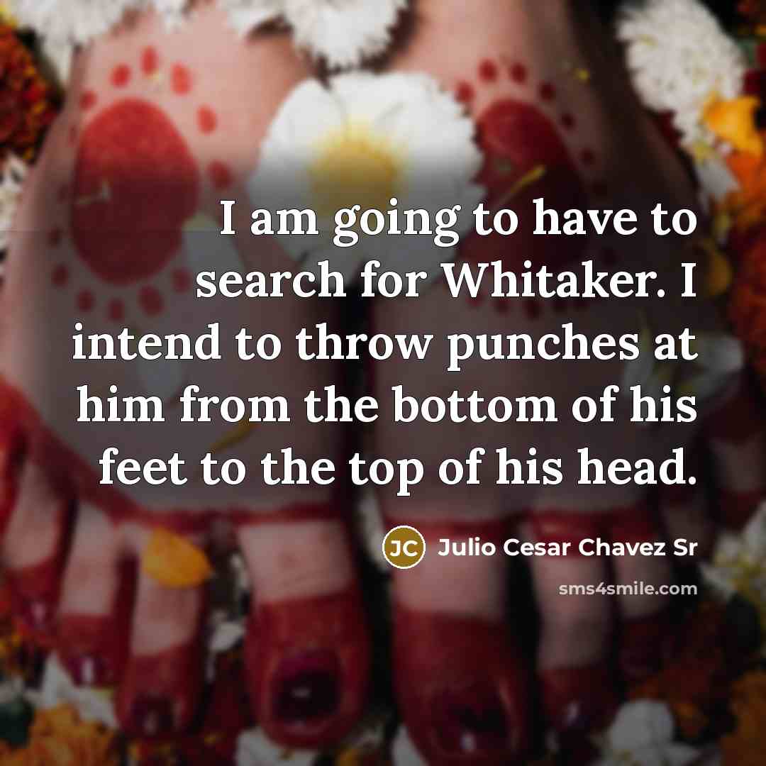 “I am going to have to search for Whitaker. I intend to throw punches at him from the bottom of his feet to the top of his head.” quote by Julio Cesar Chavez Sr