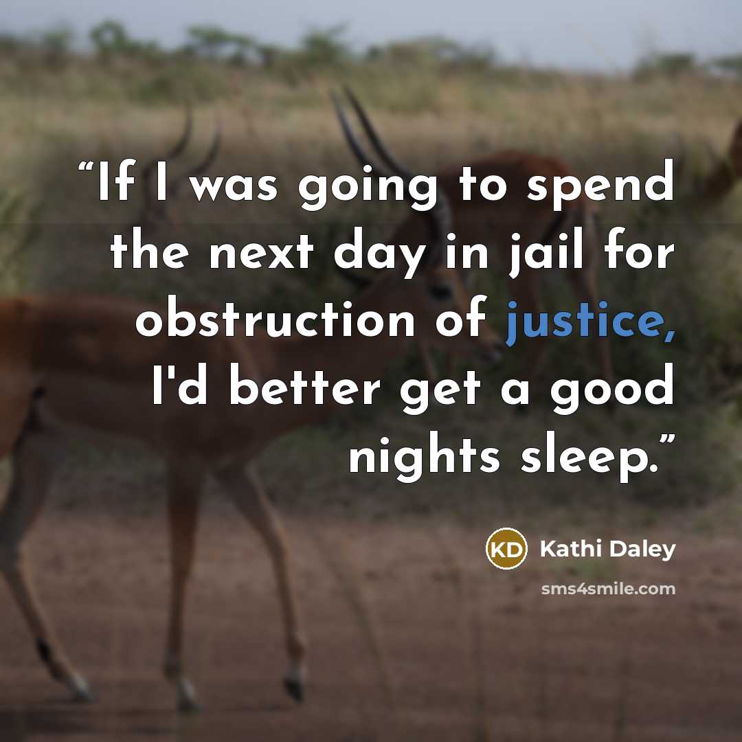 “If I was going to spend the next day in jail for obstruction of justice, I'd better get a good nights sleep.” quote by Kathi Daley