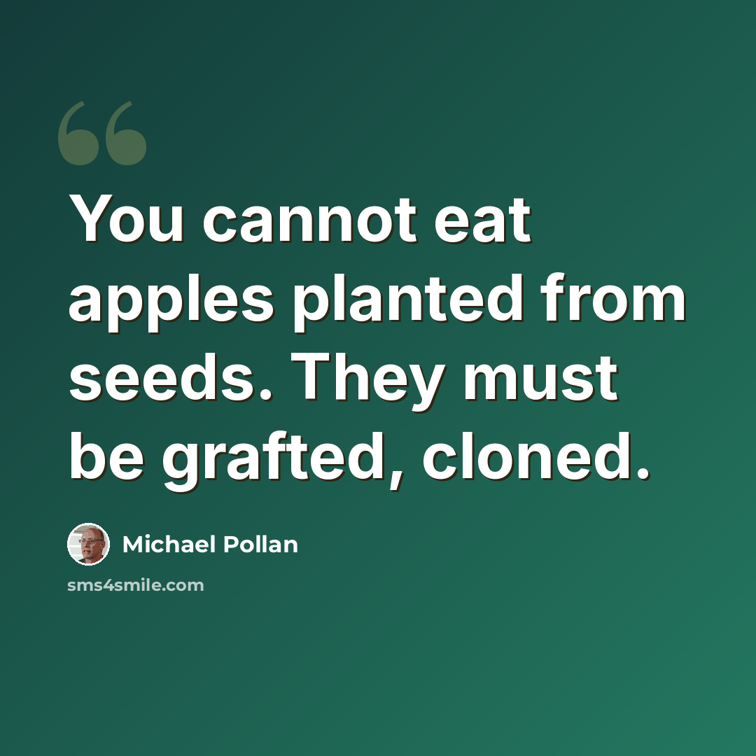 “You cannot eat apples planted from seeds. They must be grafted, cloned.” quote by Michael Pollan