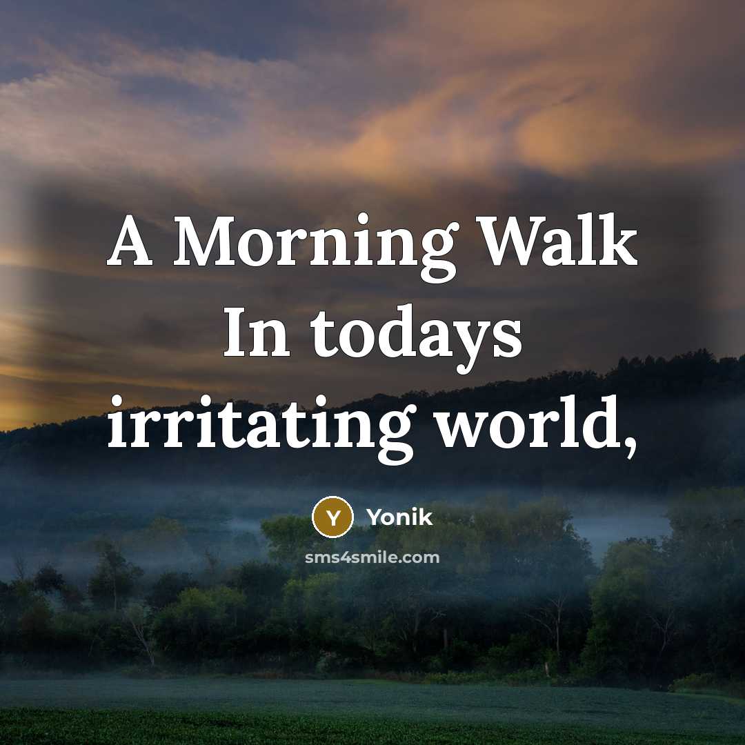 “A Morning Walk In todays irritating world,” quote by Yonik