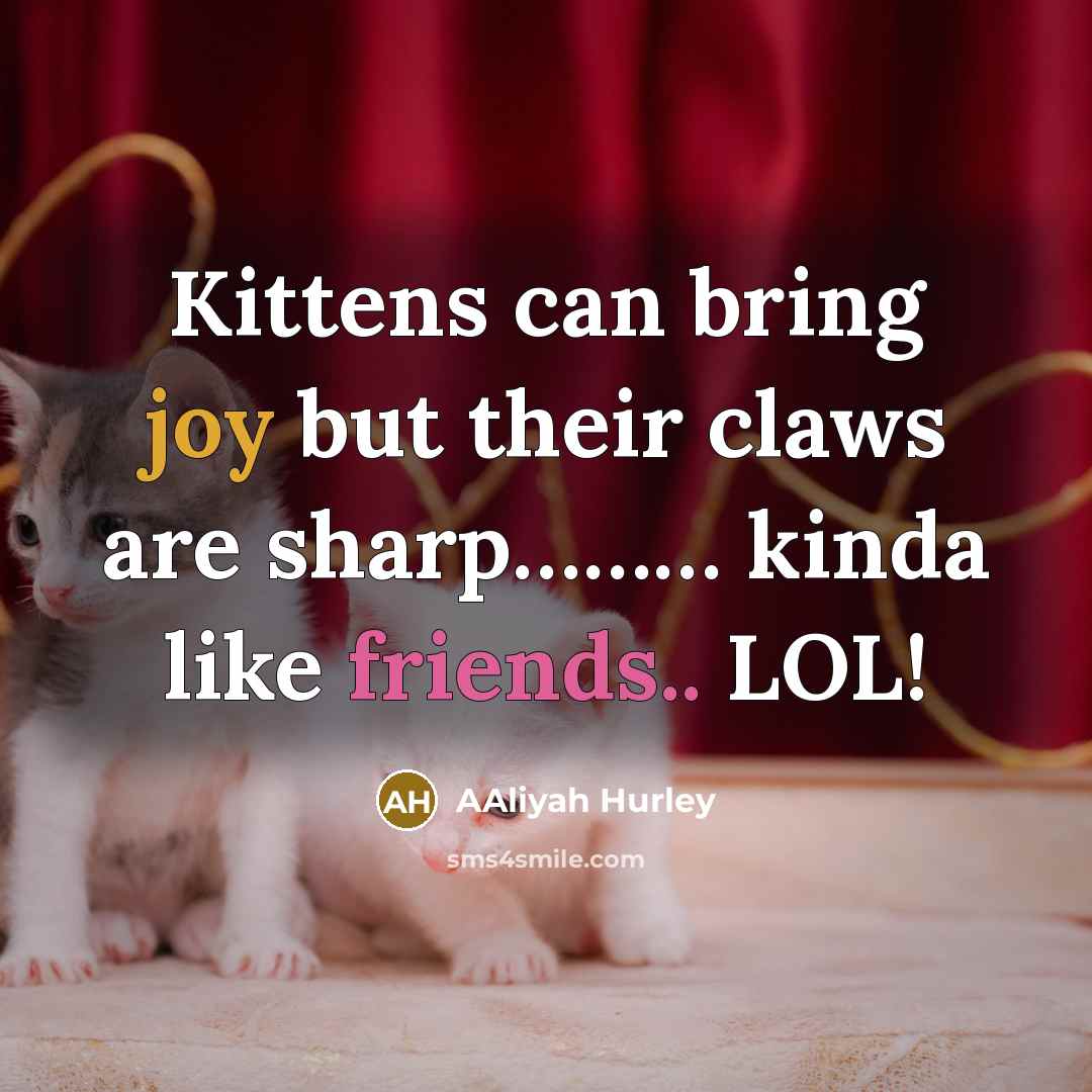 “Kittens can bring joy but their claws are sharp……… kinda like friends.. LOL!” quote by AAliyah Hurley
