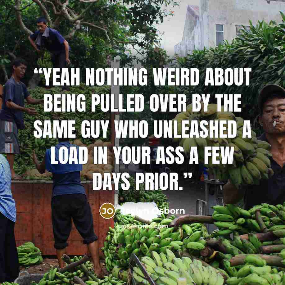 “Yeah nothing weird about being pulled over by the same guy who unleashed a load in your ass a few days prior.” quote by Jaclyn Osborn