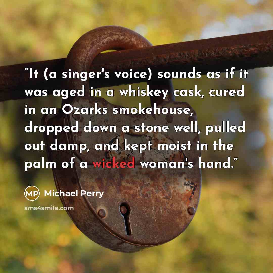 “It (a singer's voice) sounds as if it was aged in a whiskey cask, cured in an Ozarks smokehouse, dropped down a stone well, pulled out damp, and kept moist in the palm of a wicked woman's hand.” quote by Michael Perry
