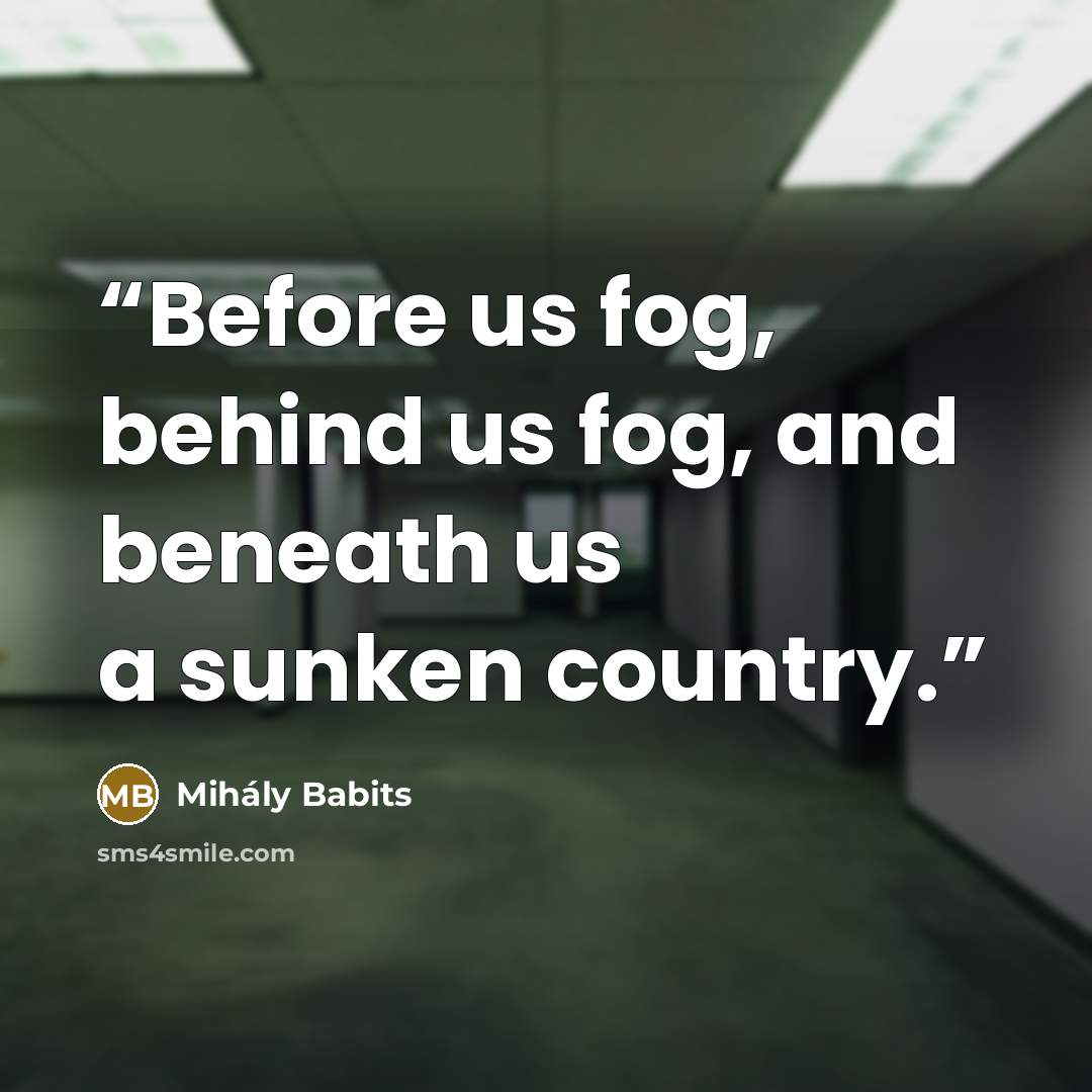“Before us fog, behind us fog, and beneath us a sunken country.” quote by Mihály Babits