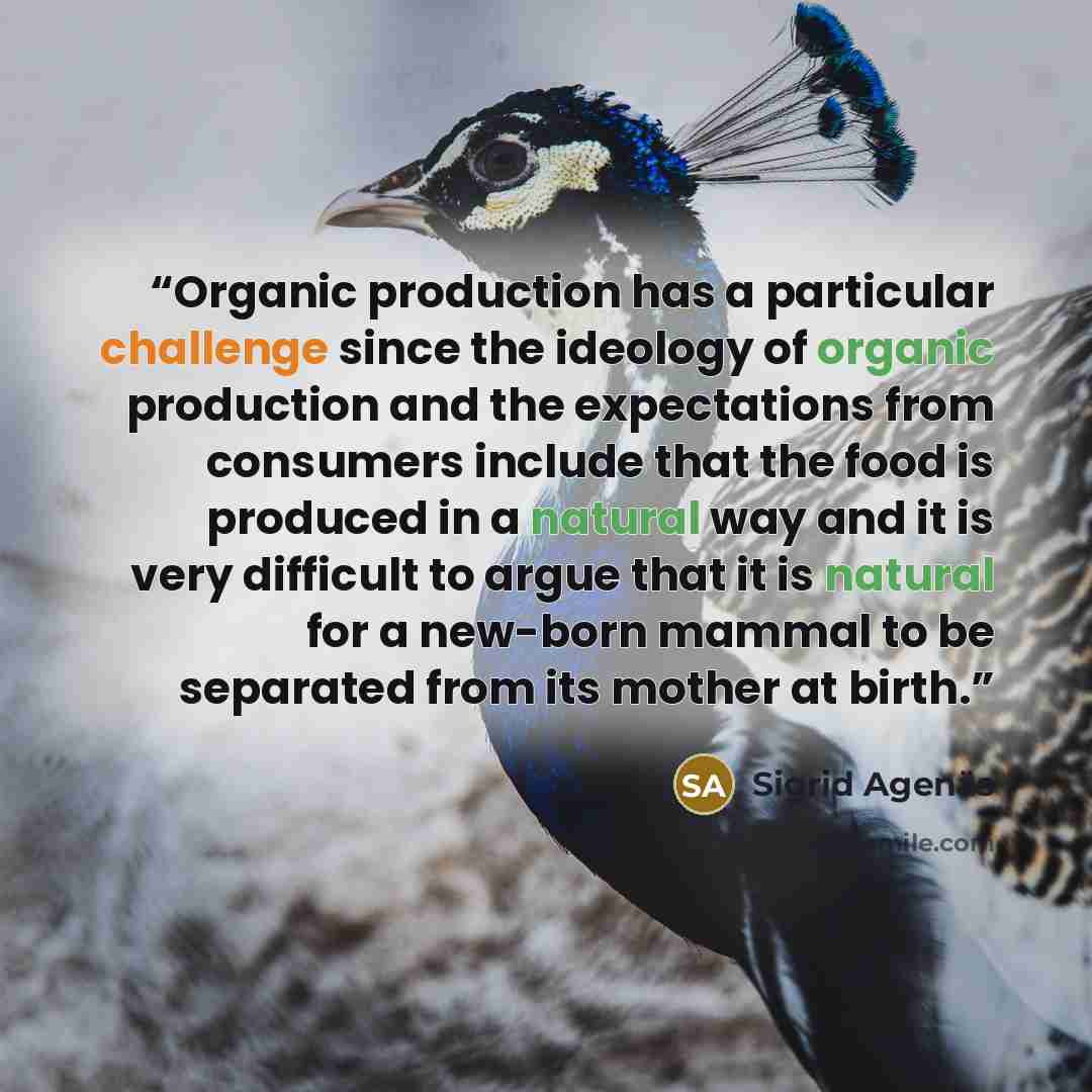 “Organic production has a particular challenge since the ideology of organic production and the expectations from consumers include that the food is produced in a natural way and it is very difficult to argue that it is natural for a new-born mammal to be separated from its mother at birth.” quote by Sigrid Agenäs