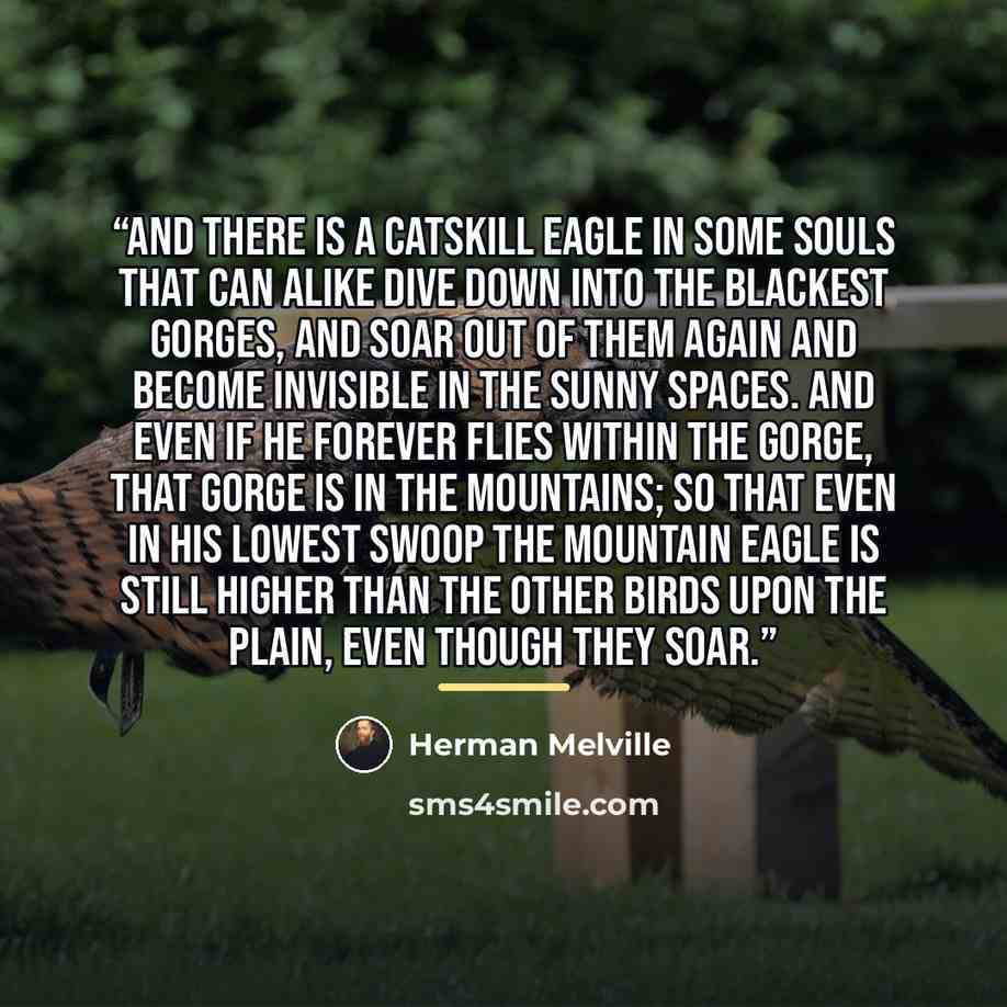 “and there is a Catskill eagle in some souls that can alike dive down into the blackest gorges, and soar out of them again and become invisible in the sunny spaces. And even if he forever flies within the gorge, that gorge is in the mountains; so that even in his lowest swoop the mountain eagle is…” quote by Herman Melville