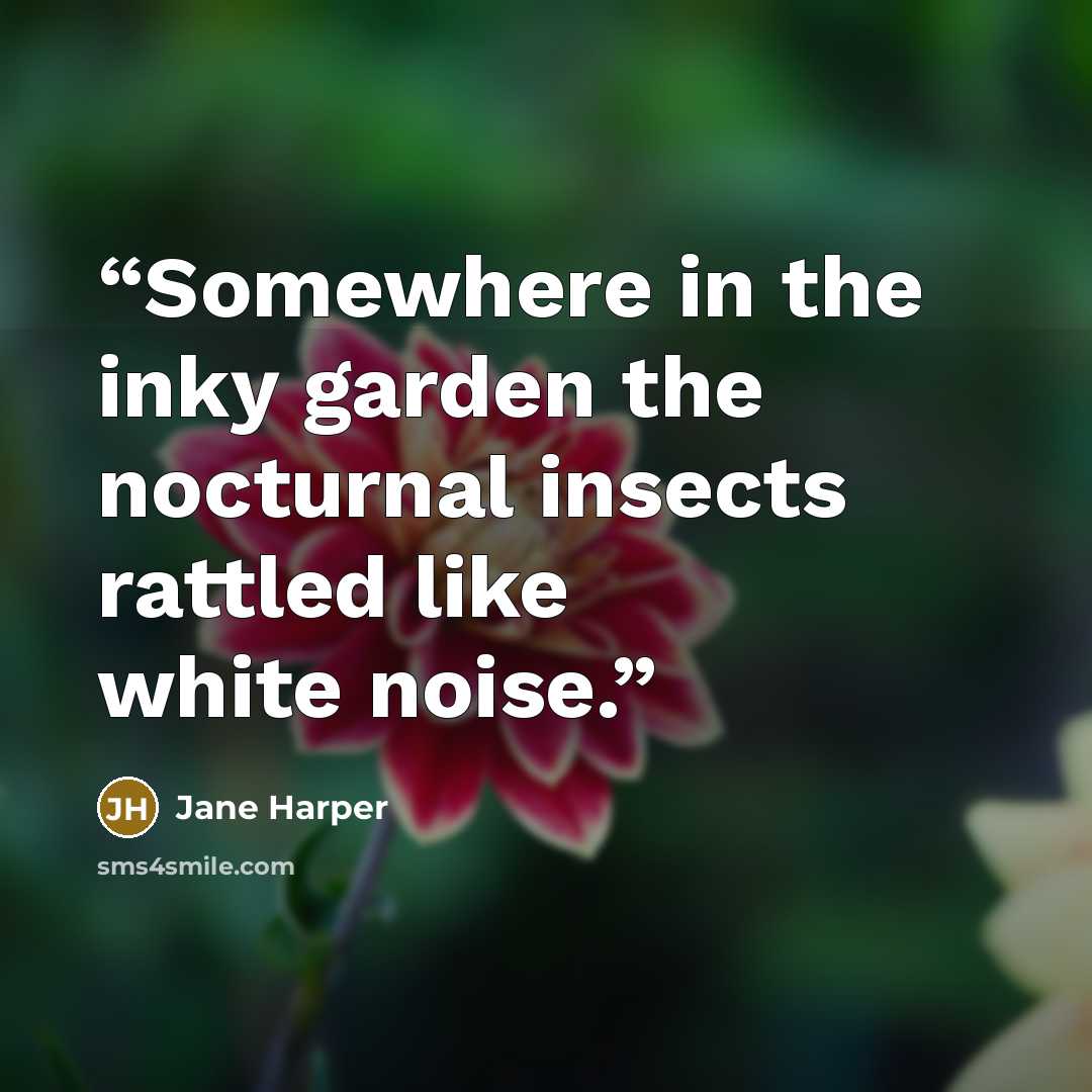 “Somewhere in the inky garden the nocturnal insects rattled like white noise.” quote by Jane Harper
