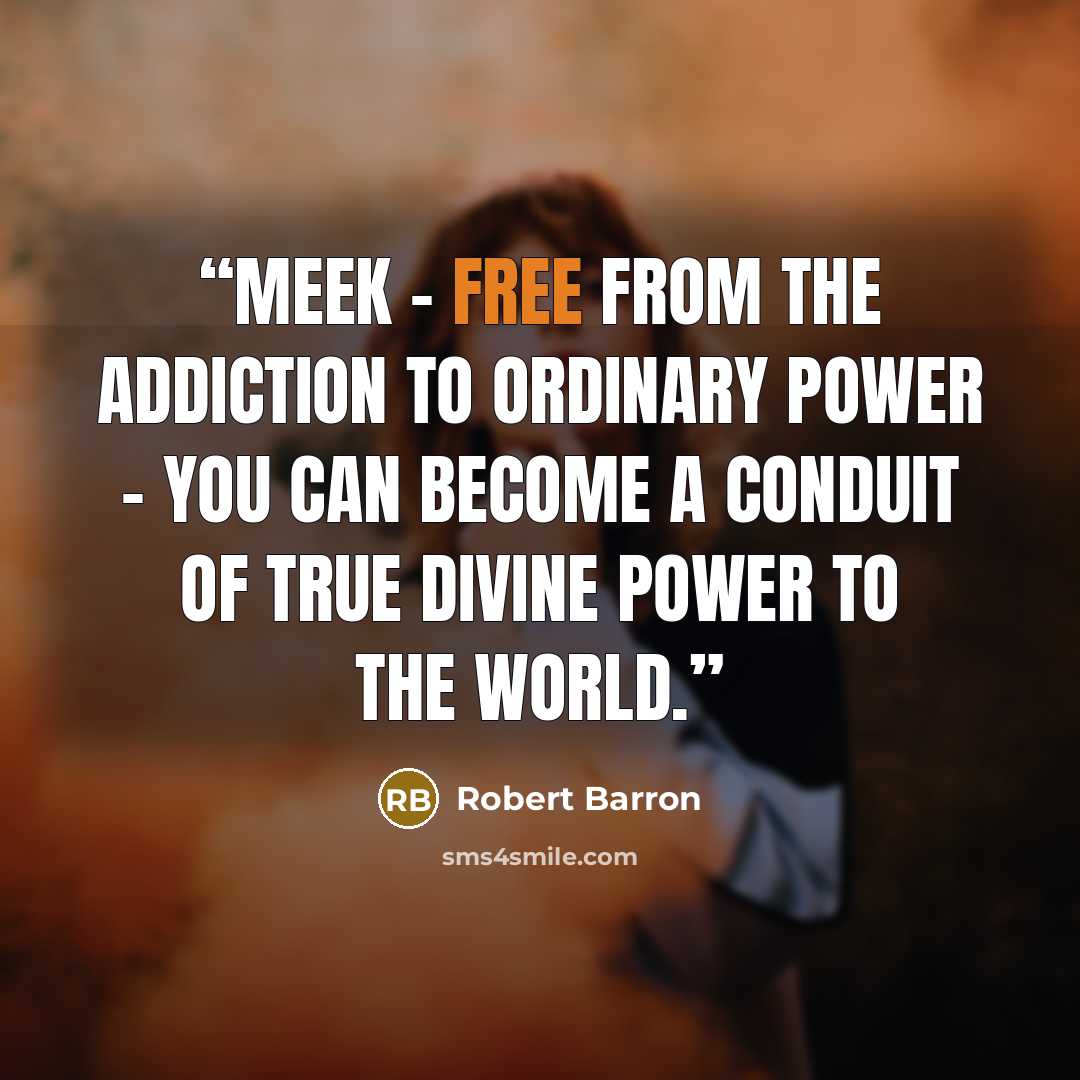 “Meek - free from the addiction to ordinary power - you can become a conduit of true divine power to the world.” quote by Robert Barron