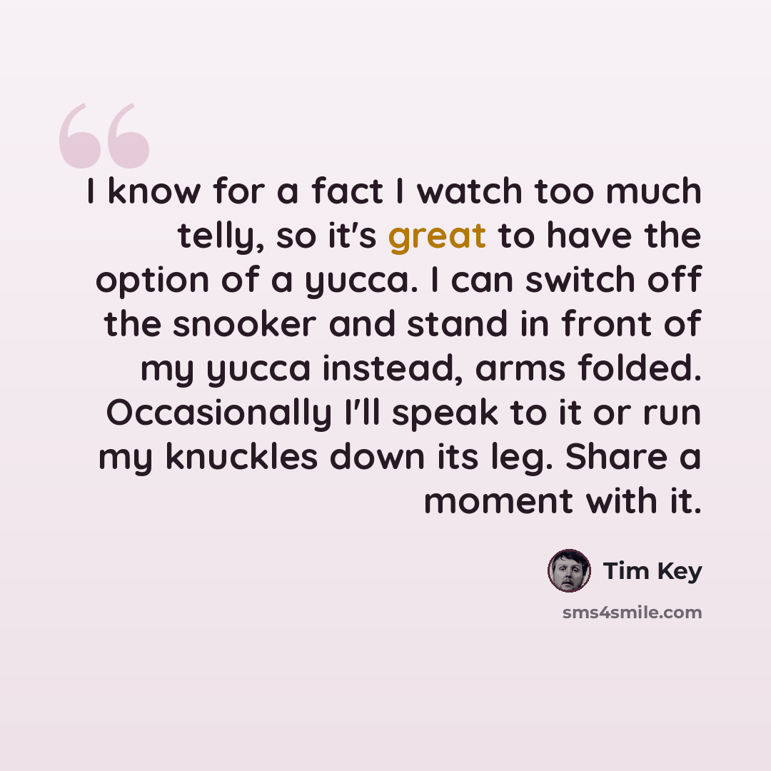 “I know for a fact I watch too much telly, so it's great to have the option of a yucca. I can switch off the snooker and stand in front of my yucca instead, arms folded. Occasionally I'll speak to it or run my knuckles down its leg. Share a moment with it.” quote by Tim Key