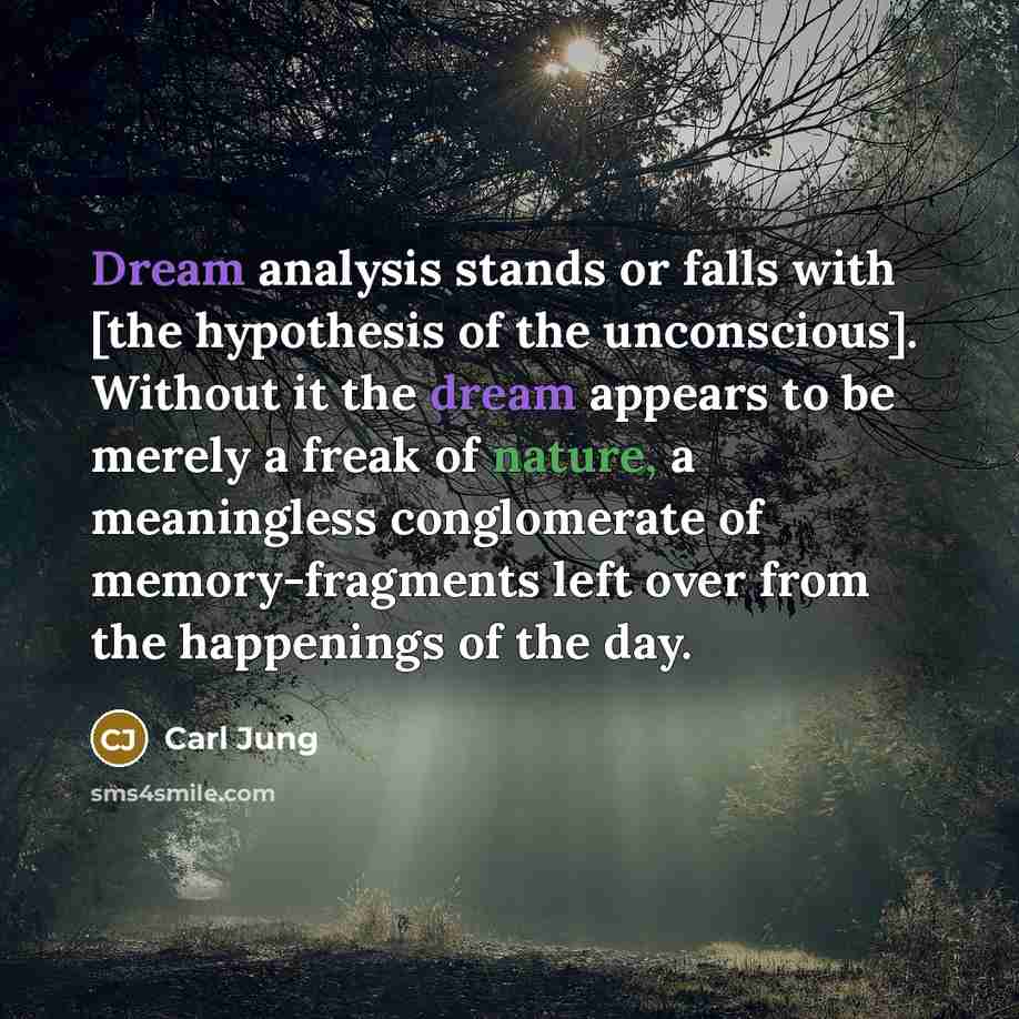 “Dream analysis stands or falls with [the hypothesis of the unconscious]. Without it the dream appears to be merely a freak of nature, a meaningless conglomerate of memory-fragments left over from the happenings of the day.” quote by Carl Jung