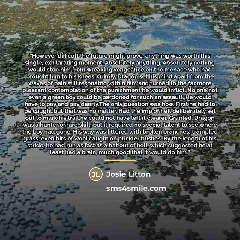 “However difficult the future might prove, anything was worth this single, exhilarating moment. Absolutely anything. Absolutely nothing would stop him from wreaking vengeance on the menace who had brought him to his knees. Grimly, Dragon set his mind apart from the waves of pain still resonatng…” quote by Josie Litton