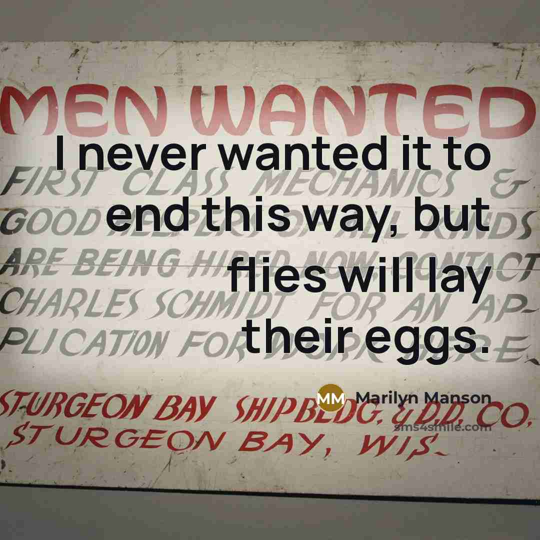 “I never wanted it to end this way, but flies will lay their eggs.” quote by Marilyn Manson