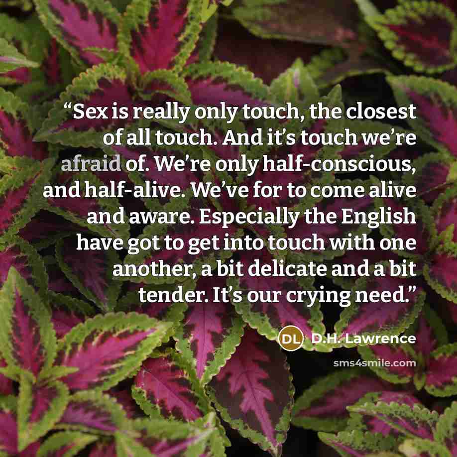 “Sex is really only touch, the closest of all touch. And it’s touch we’re afraid of. We’re only half-conscious, and half-alive. We’ve for to come alive and aware. Especially the English have got to get into touch with one another, a bit delicate and a bit tender. It’s our crying need.” quote by D.H. Lawrence