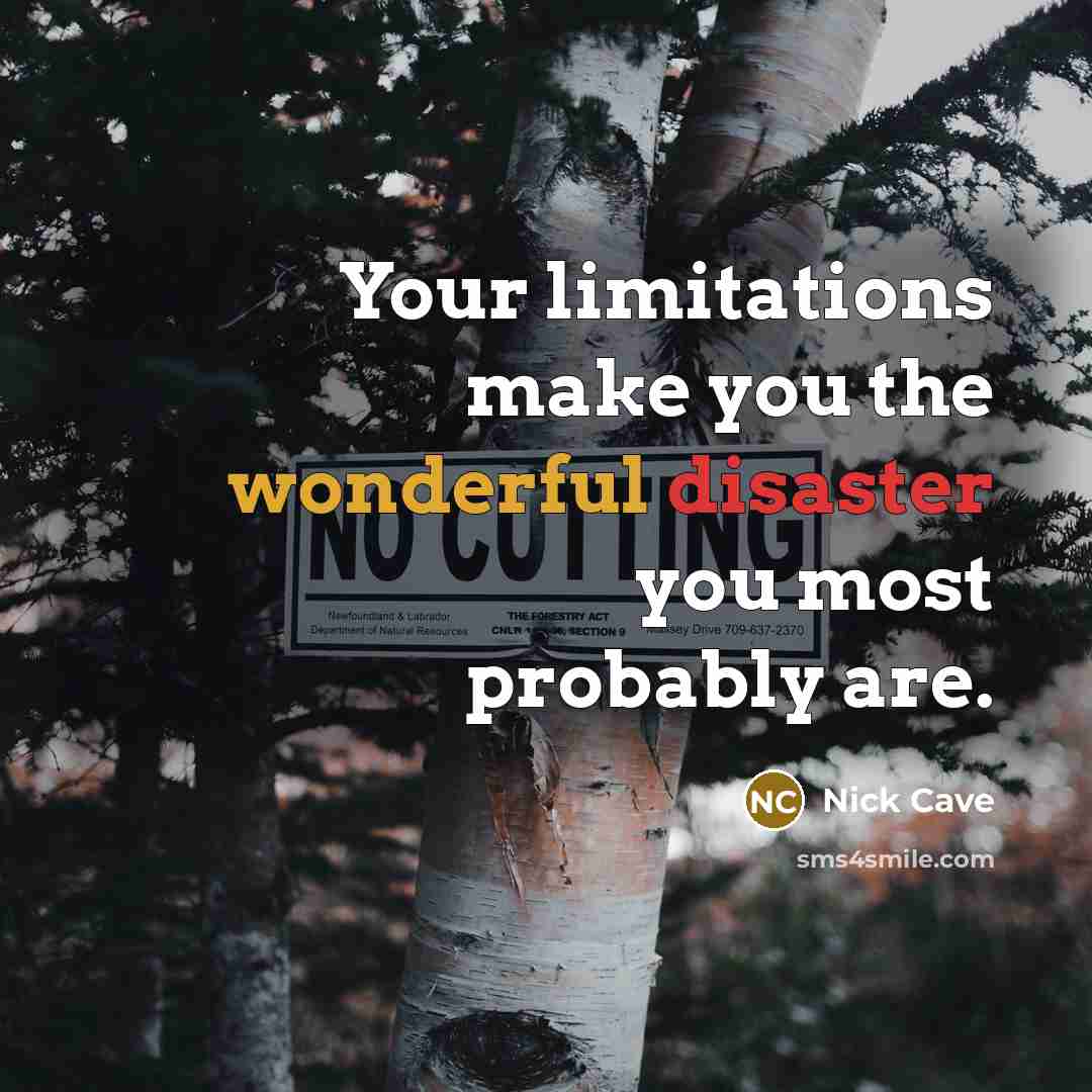 “Your limitations make you the wonderful disaster you most probably are.” quote by Nick Cave