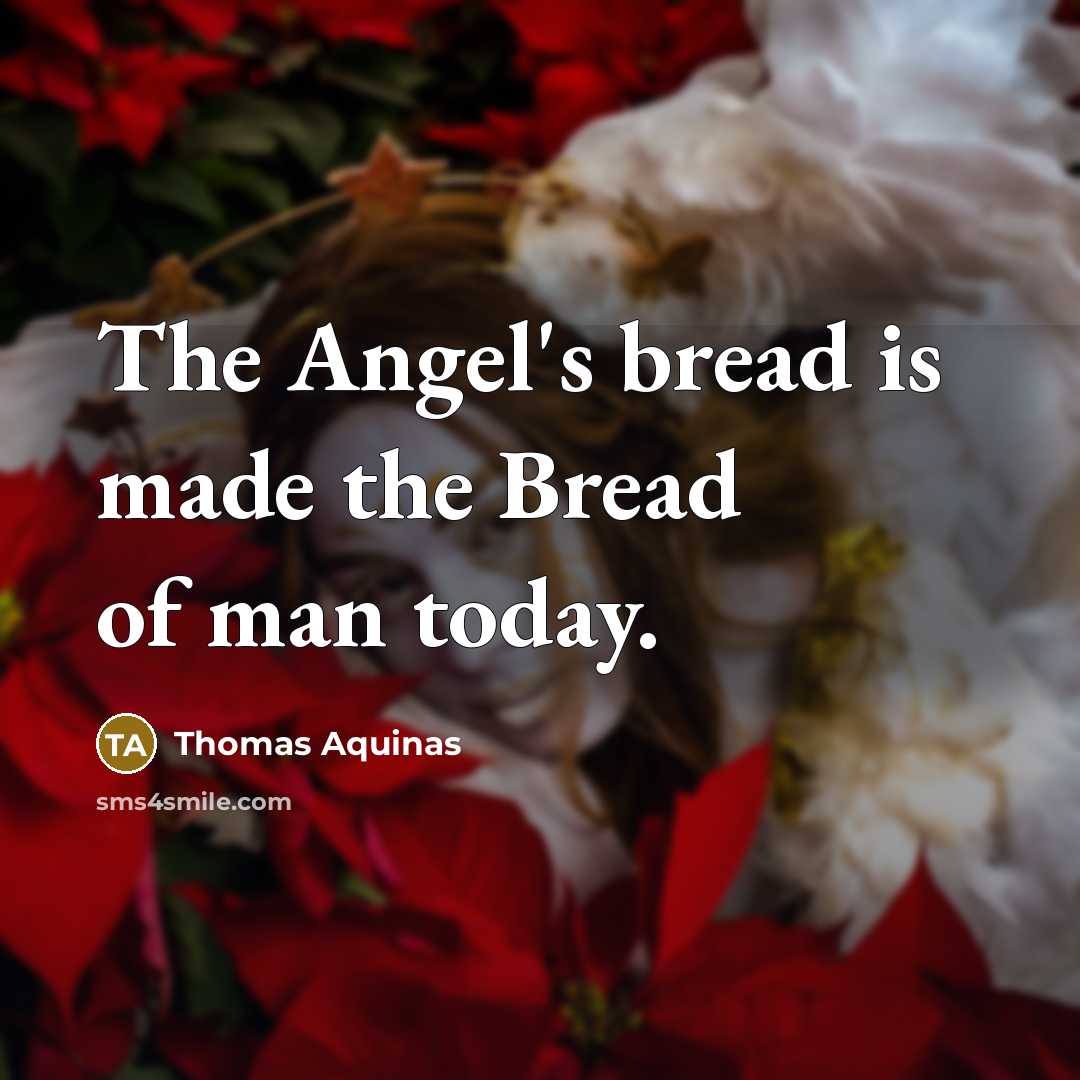 “The Angel's bread is made the Bread of man today.” quote by Thomas Aquinas